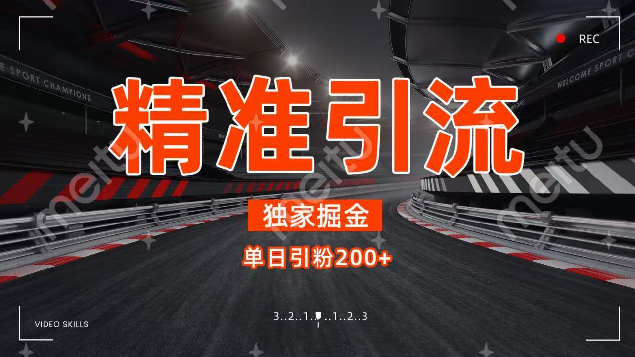 独家野路子精准引流 每日200+插图