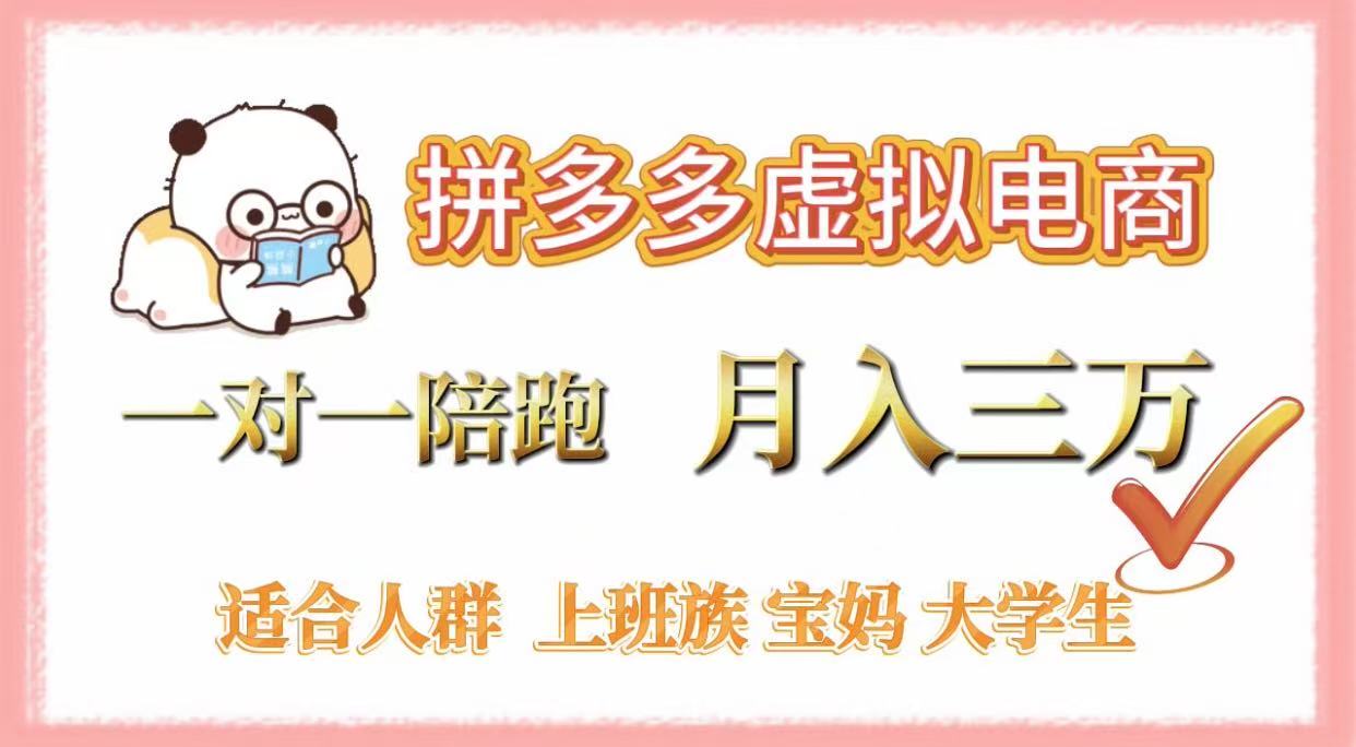拼多多虚拟电商，一对一陪跑，月入3万，0囤货，轻资产，不发货插图
