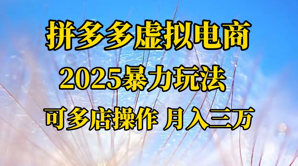 拼多多虚拟电商，不囤货不垫资的虚拟电商插图