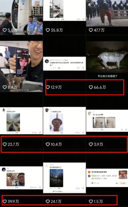 摄影点评式博主流量模型，条条千万播放可复制玩法分享插图