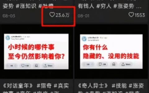 reddit外国贴吧话题搬运玩法，全平台收益变现