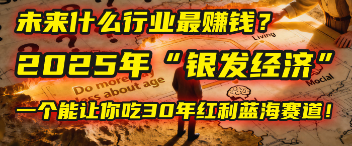 未来什么行业最赚钱？马哥揭秘2025年“银发经济”：一个能让你吃30年红利的蓝海赛道！插图