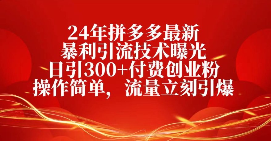 25年拼多多最新暴利引流技术曝光、日引300+付费创业粉操作简单，流量立刻引爆插图