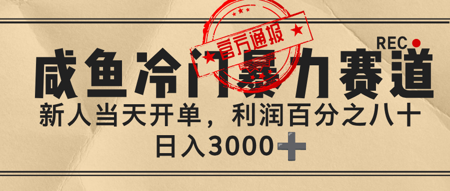 闲鱼，冷门暴力赛道，一单 80%利润，新人轻松日入 3000+插图