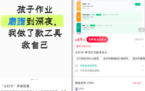 小红书卖小打卡作业辅助打卡工具，三个月变现20万