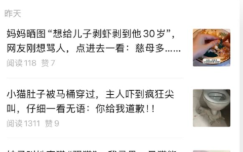 公众号发猫咪宠物内容，流量稳定好变现