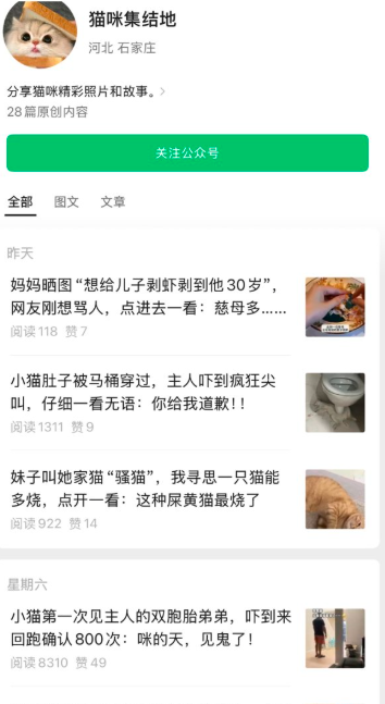 公众号发猫咪宠物内容，流量稳定好变现