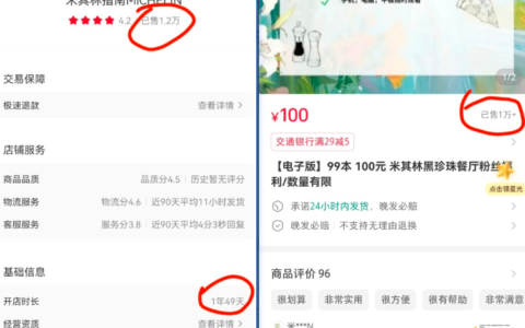 小红书卖米其林指南电子书，变现百万