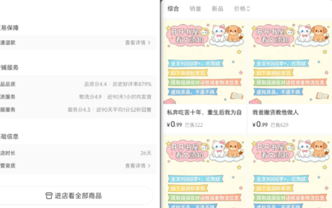 小红书卖AI短篇爽文，月入过万