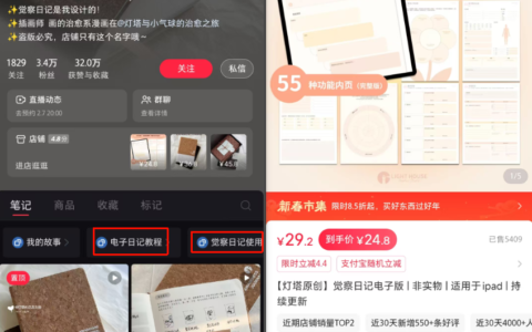 小红书卖觉察日记模板，销量5000+