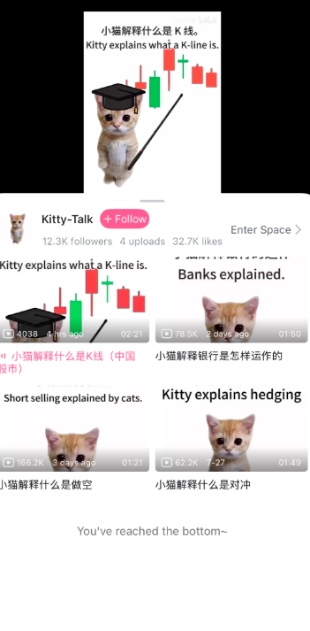 B站用猫meme做财经科普,极速涨粉爆款