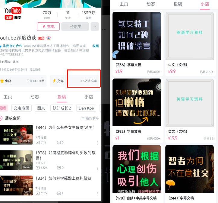 B站搬运油管访谈视频，变现10万+