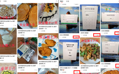 小红书程序员IP起号玩法分享，搞自媒体得有活