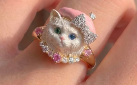 小红书宠物珠宝商机，上升趋势