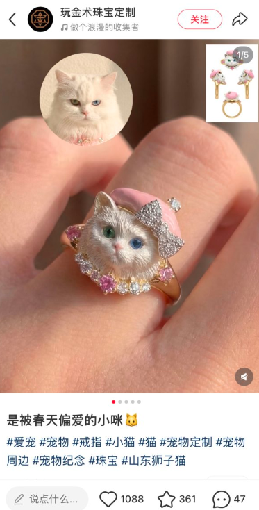 小红书宠物珠宝商机，上升趋势