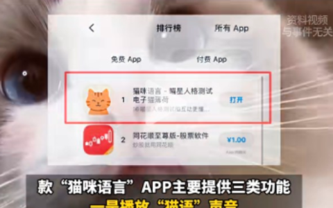 独立开发猫咪语言APP，登顶苹果付费榜